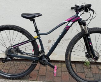 Specialized Jett Expert