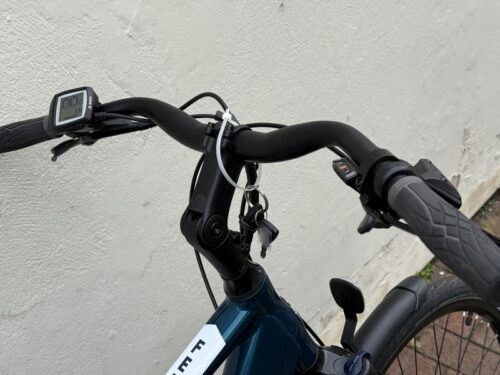Raleigh Felix Bosch Active Line