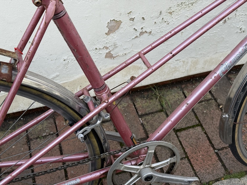 Elswick Hopper Charisma