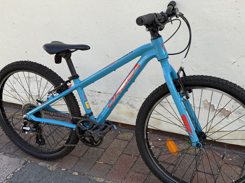 Orbea MX24 Dirt