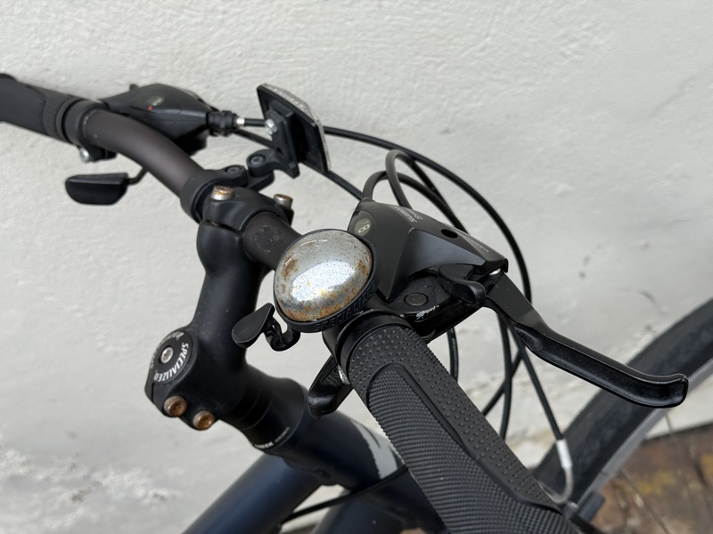 Specialized Globe Low-step