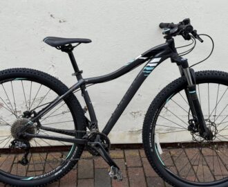 Specialized Jett