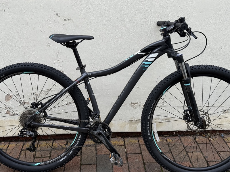 Specialized Jett