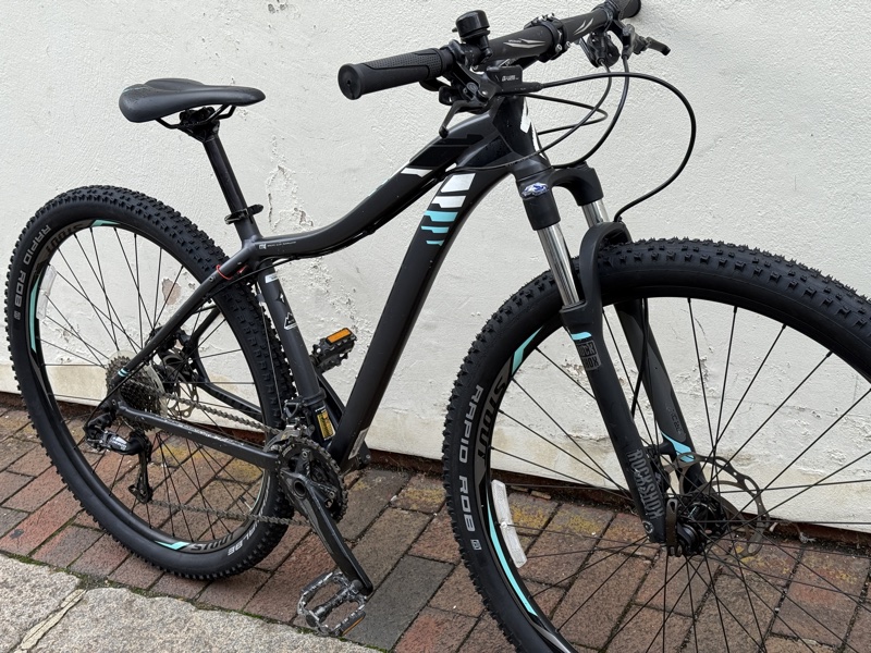 Specialized Jett