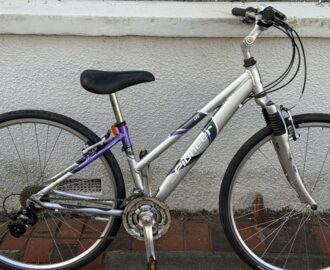 Raleigh Pioneer Metro GTE Low-step